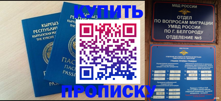 форма 3 в Сланцах